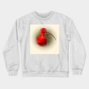 Scarlet ibis Crewneck Sweatshirt